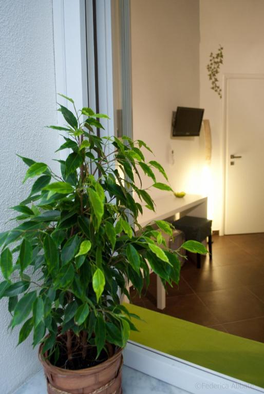 Affittacamere B&B Carella Палермо Стая снимка
